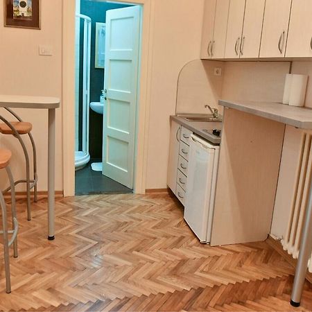 Bojan Central Apartment Nowy Sad Zewnętrze zdjęcie